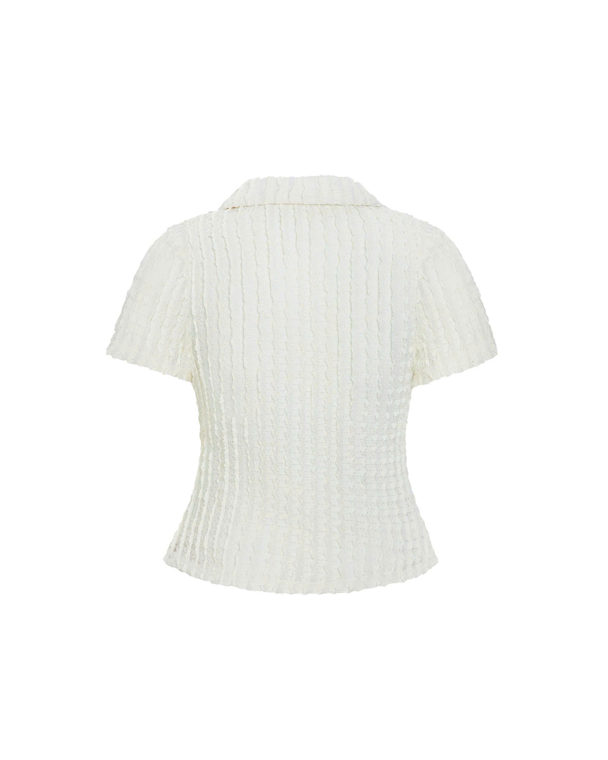 Áo Thun Polo Sọc Gân Bigsize Co Giãn Dễ Phối, Gọn Dáng Nhẹ - Đen/Kem - Vừa 55-95kg - V-AK100_thumbnail_9