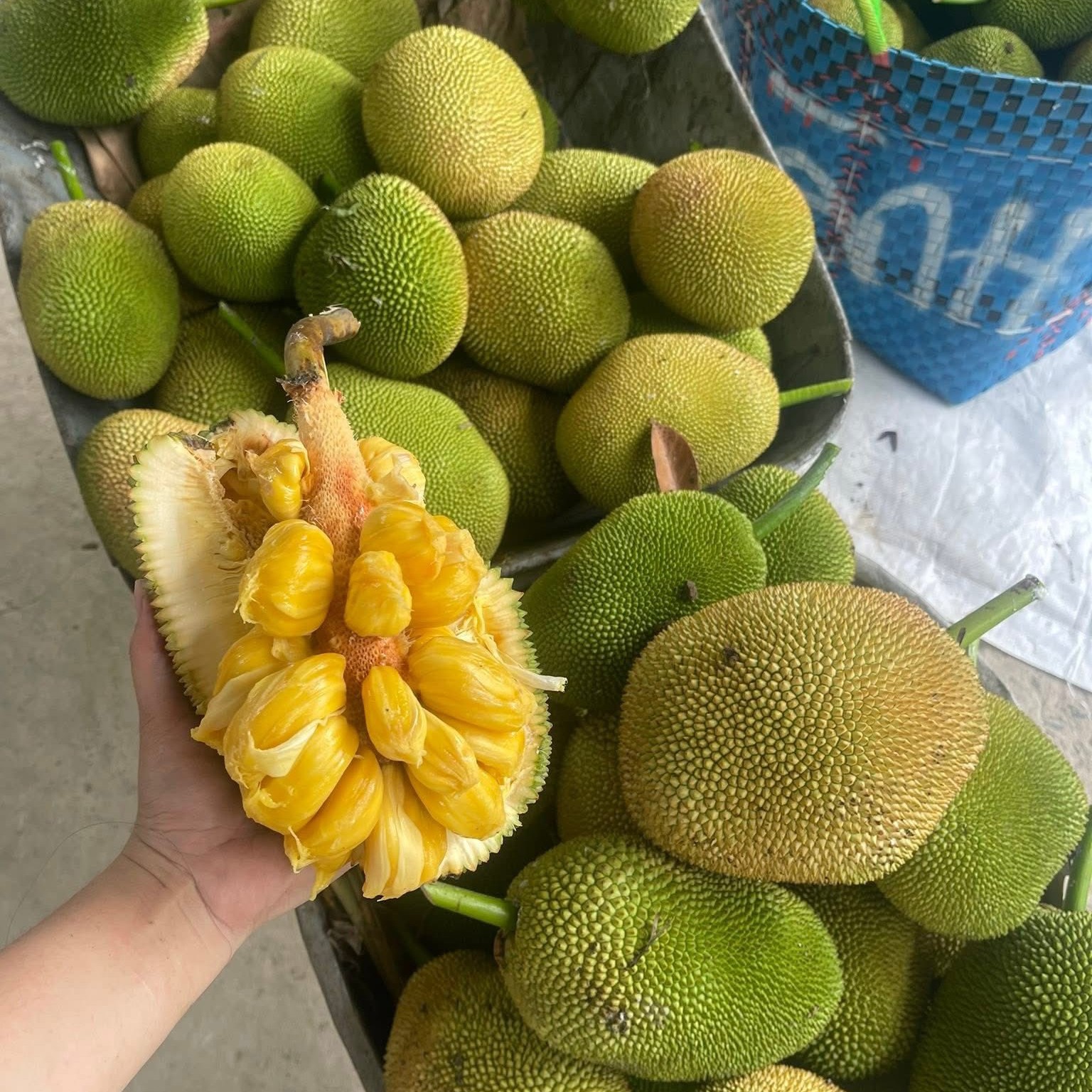 Mít Tố Nữ_thumbnail_3