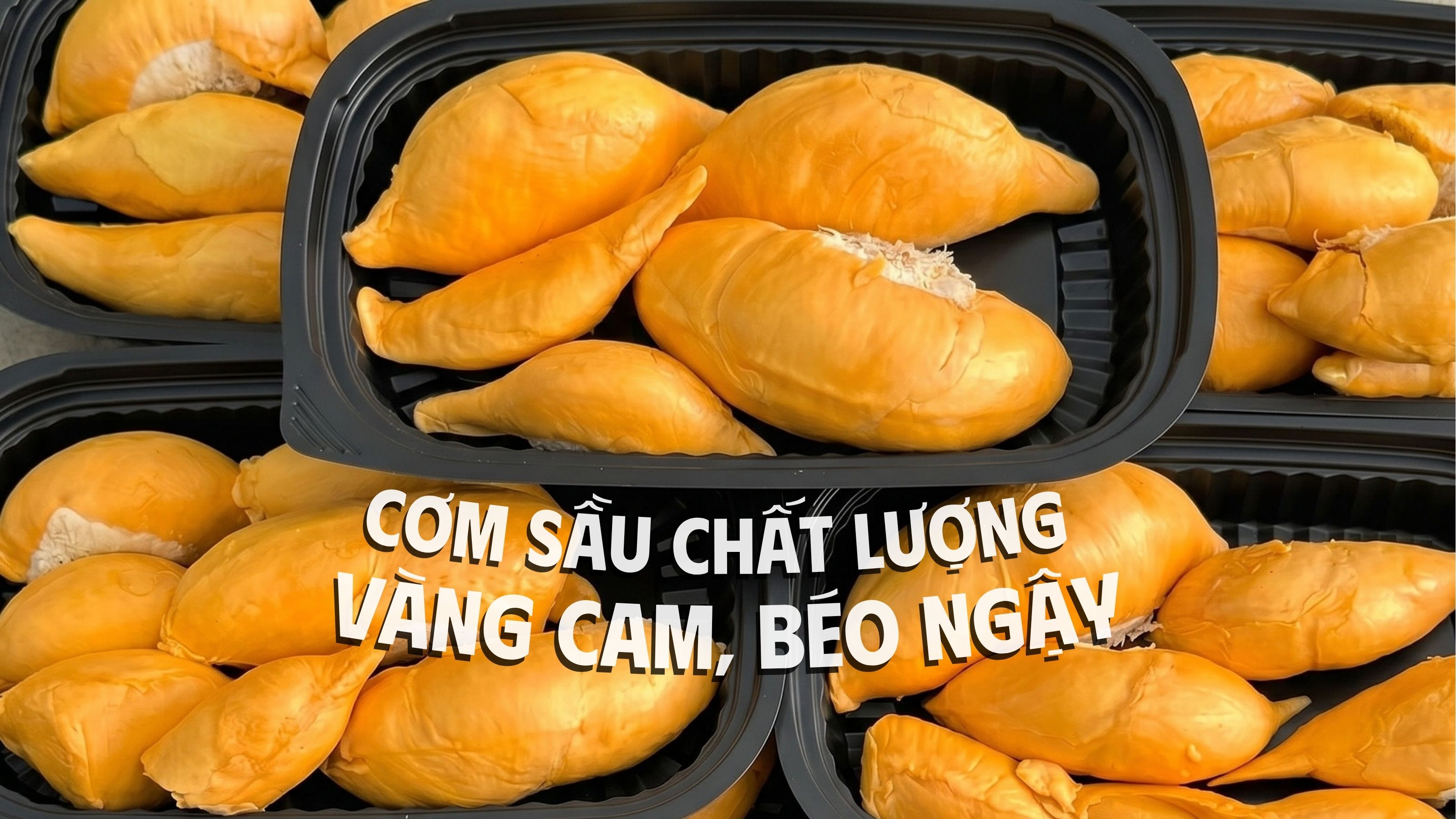 sầu riêng tách sẵn Tu Farm