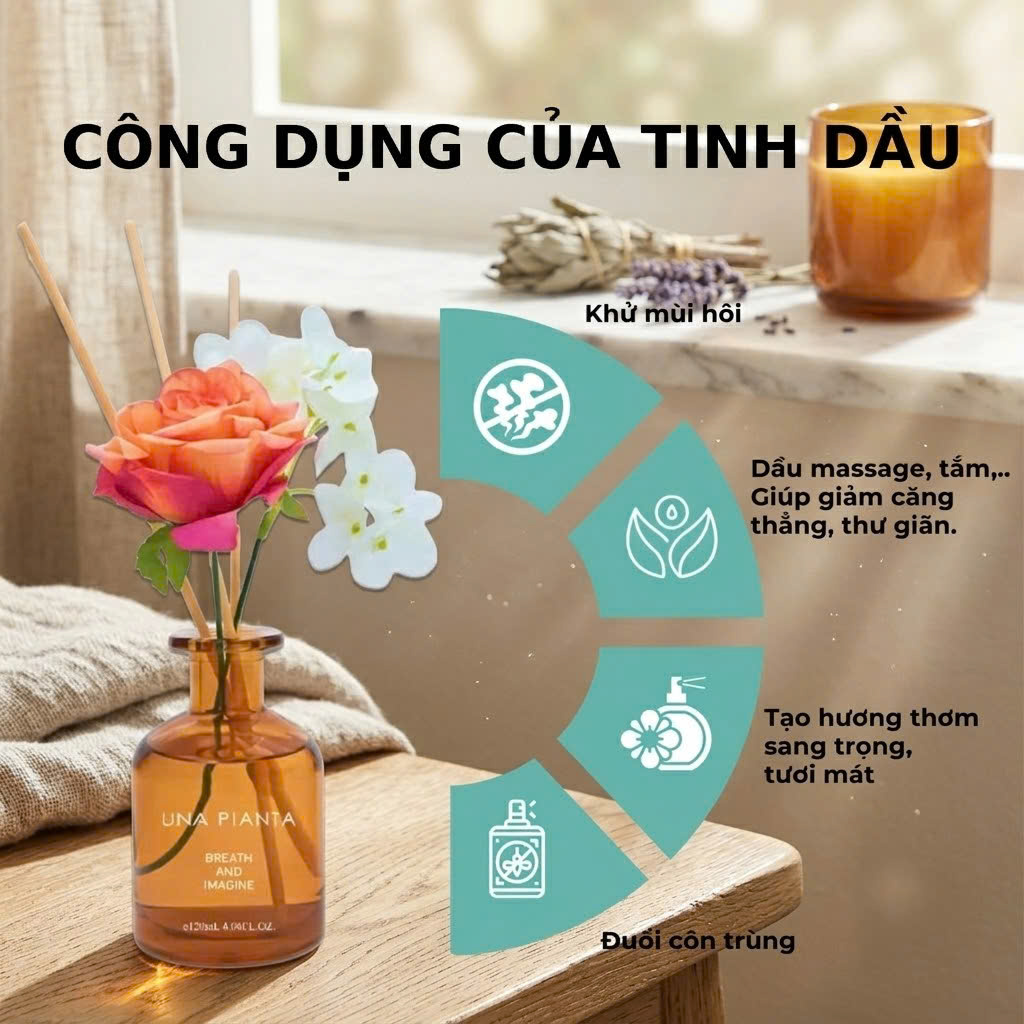 TINH DẦU KHUẾCH TÁN_thumbnail_6