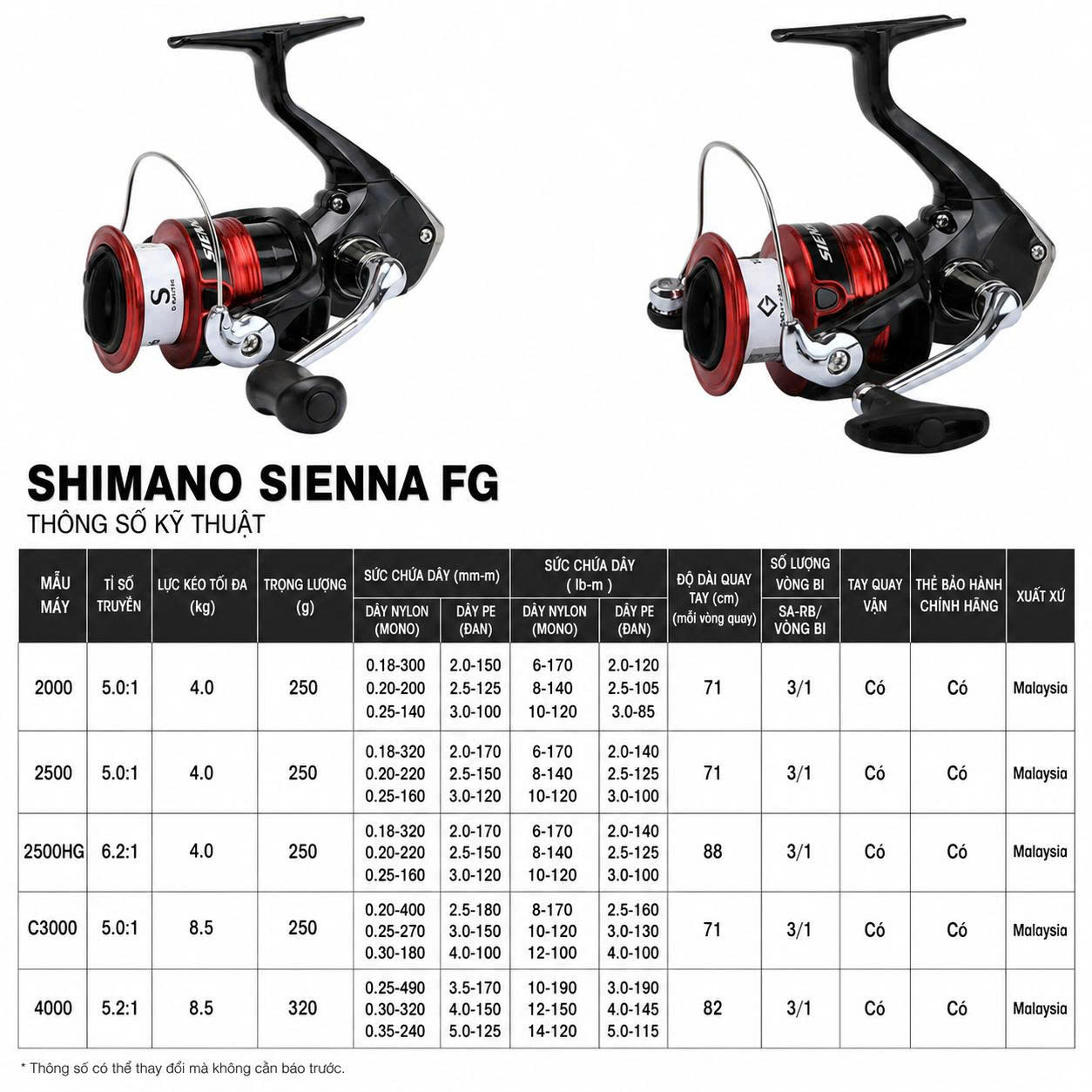 Máy Câu Đứng Shimano Sienna FG Chính Hãng – Quay Mượt, Bền Bỉ, Giá Tốt Cho Người Mới_thumbnail_4