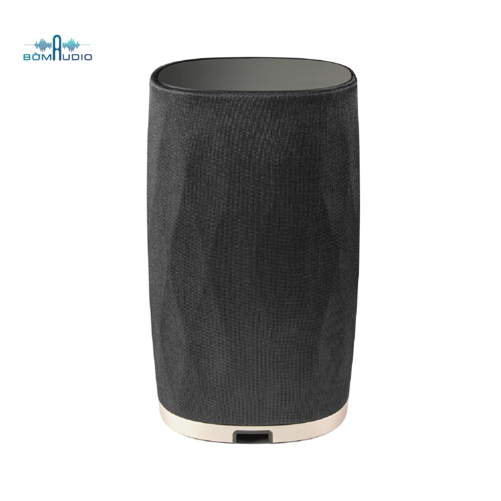 Loa Bluetooth Cao Cấp B&W FORMATION FLEX_thumbnail_1