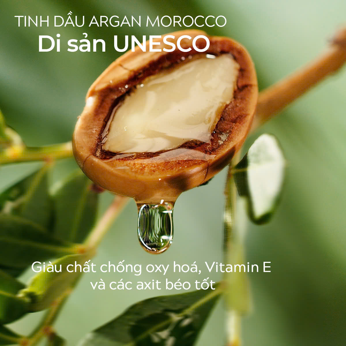 Dầu Gội Natufres_thumbnail_11