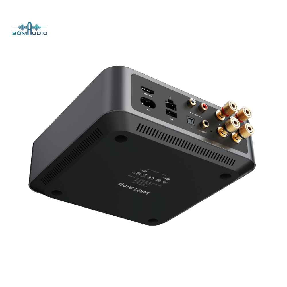 Music Streaming Amplifier WIIM AMP_thumbnail_5