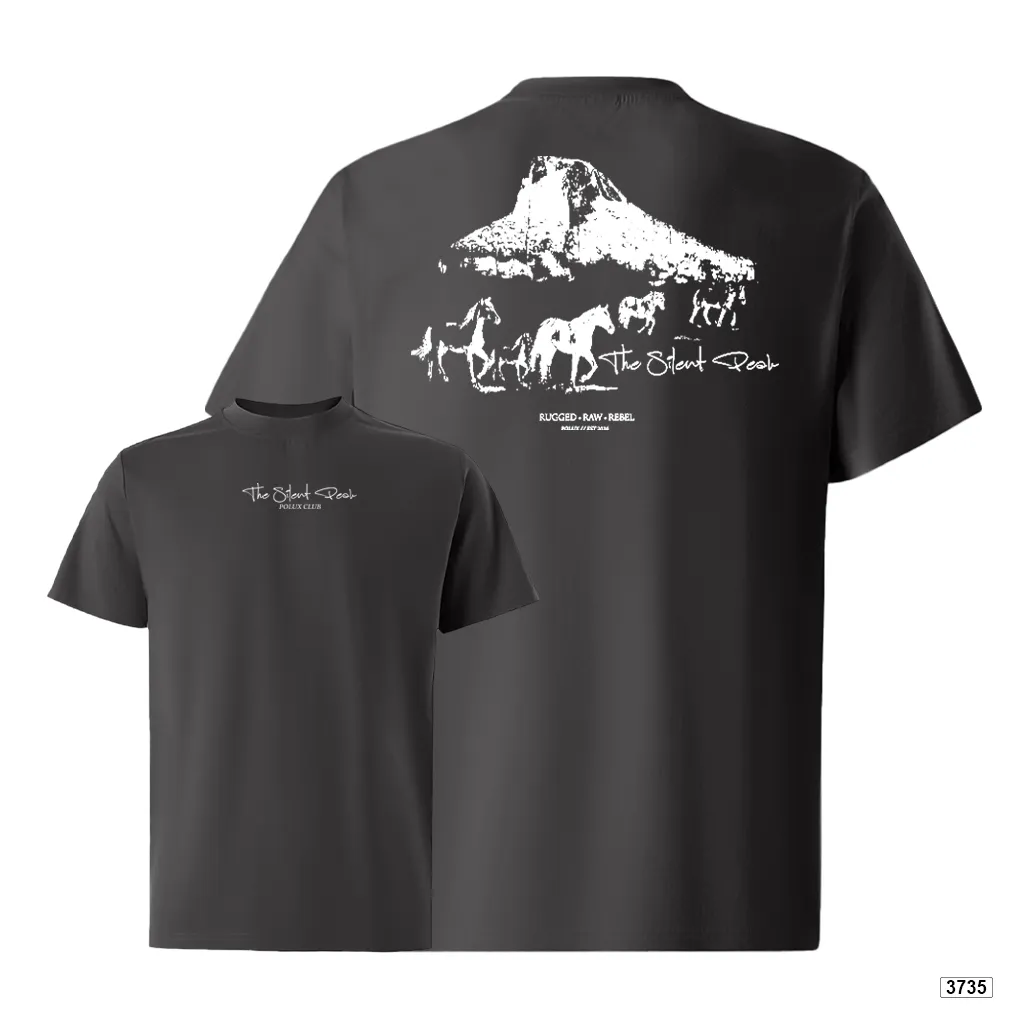 Áo thun nam oversize dày dặn đứng form streetwear style Polux 3735_thumbnail_12