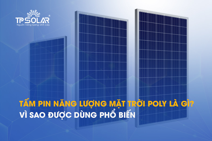 Tấm pin năng lượng mặt trời Poly là gì? Vì sao được dùng phổ biến trong đèn NLMT?