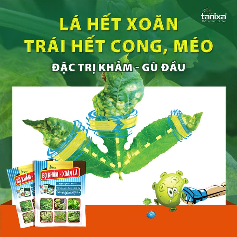 Bộ Khảm - Xoăn lá Tanixa (KM)_thumbnail_1