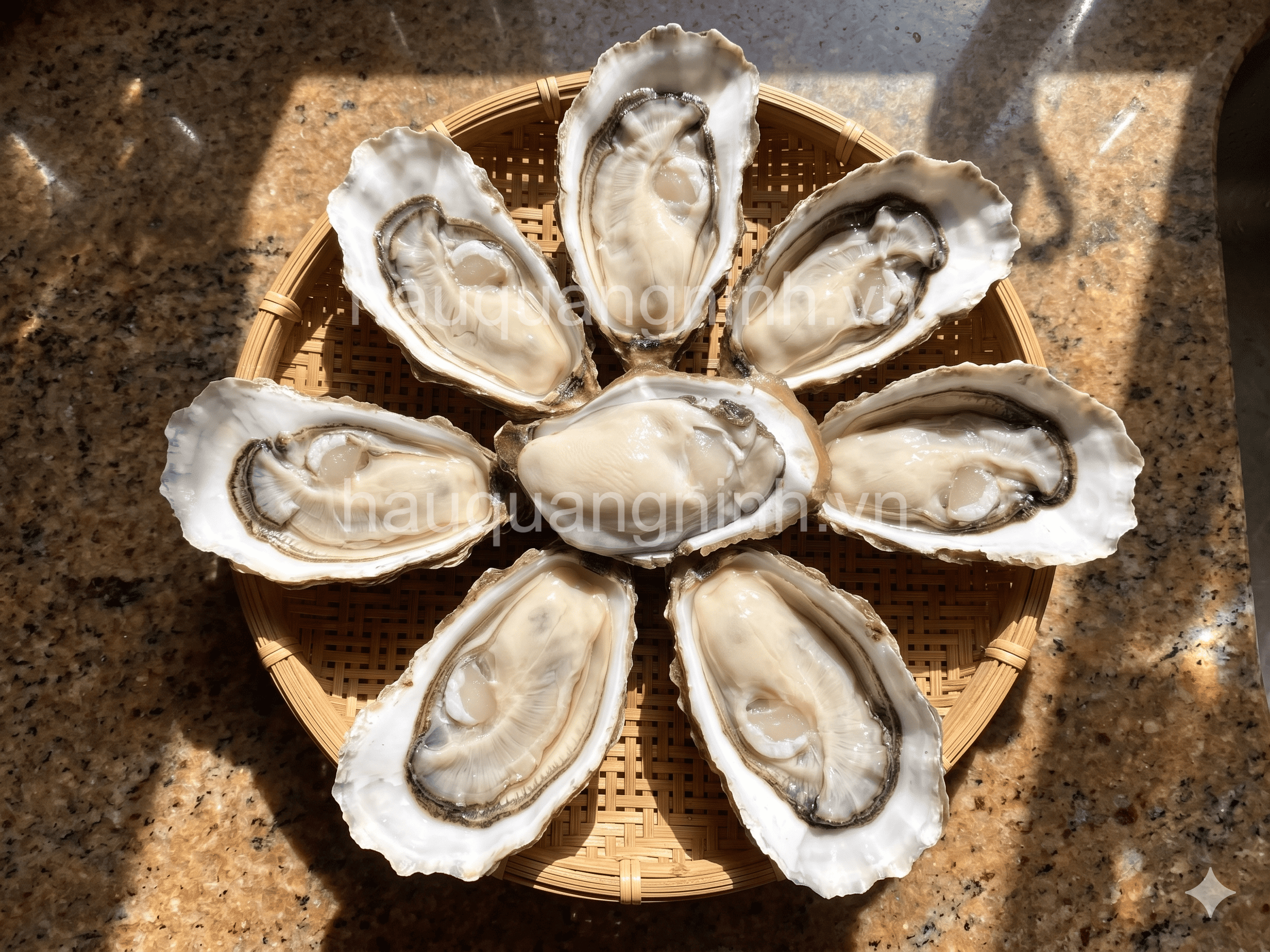 Hàu Đại Dương Chọn_thumbnail_1