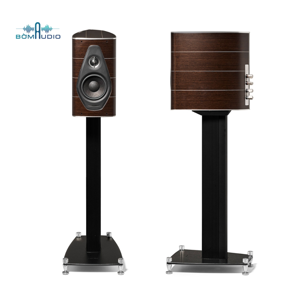 Wenge