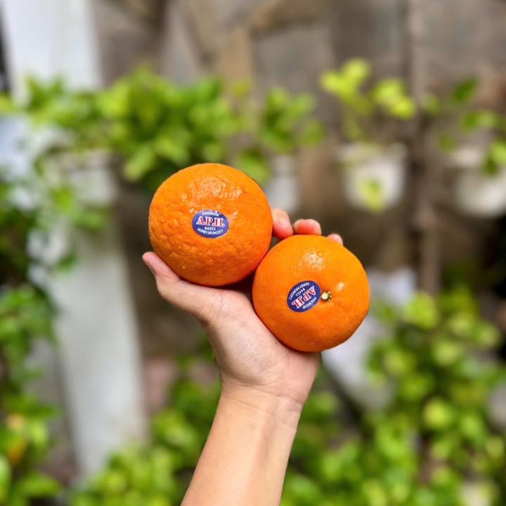 Quýt Citrus_thumbnail_2
