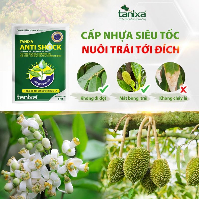 Tanixa Anti Shock túi 1kg New_thumbnail_1