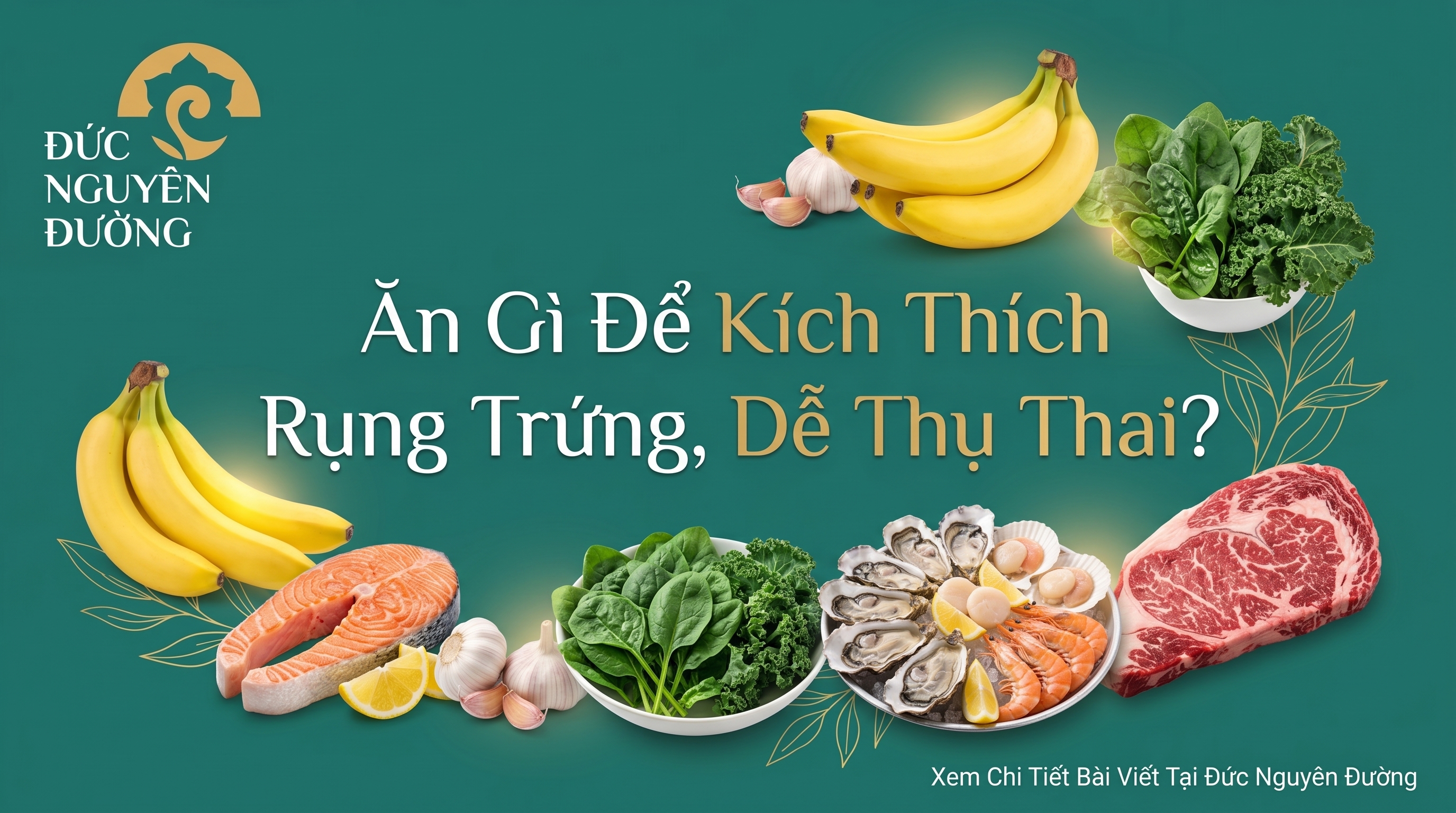 Ăn Gì Để Kích Thích Rụng Trứng, Dễ Thụ Thai?