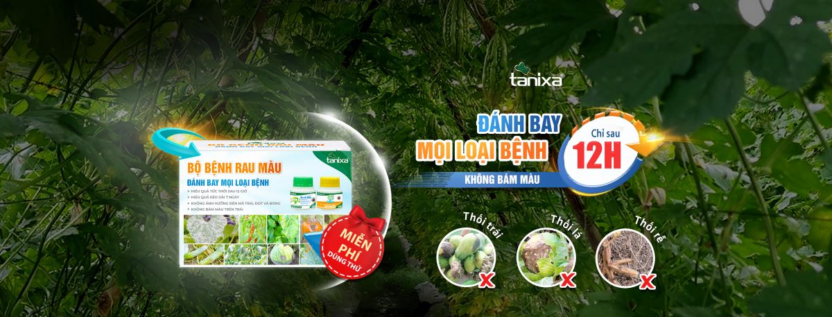 bo-benh-rau-mau-tanixa-cover