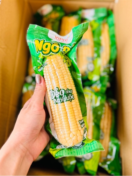 Ngô nếp luộc sẵn ( trái )