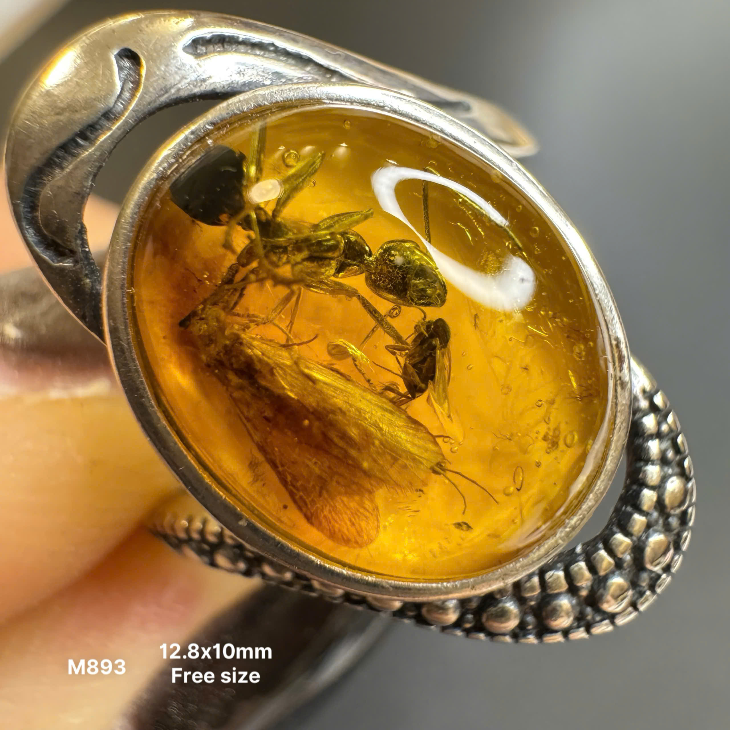 Nhẫn Côn Trùng Kiến Đại - M893