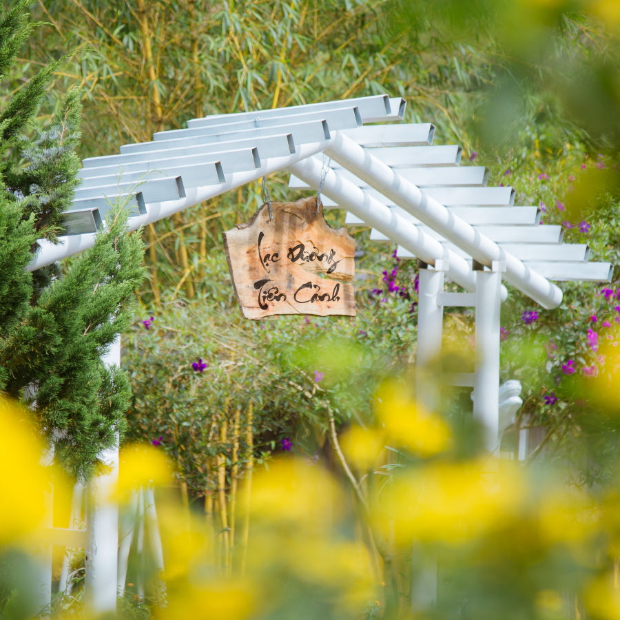 GALLERY - LẠC DƯƠNG TIÊN CẢNH-06