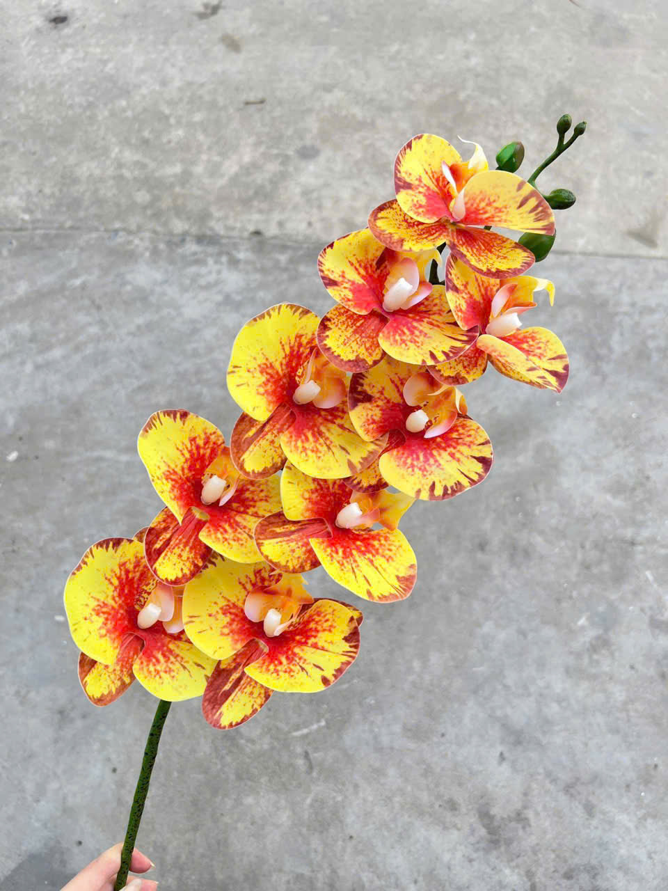 Lan Ướt Cao Su 9 Bông Trang Trí Đám Cưới Cao Cấp – Giả Như Thật, Bền Đẹp, Tiết Kiệm Chi Phí Decor Sự Kiện_thumbnail_2