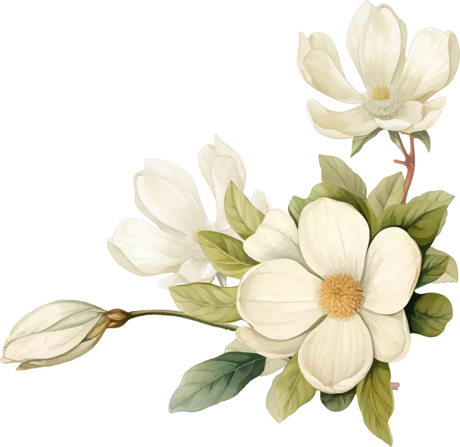 Ảnh 1
