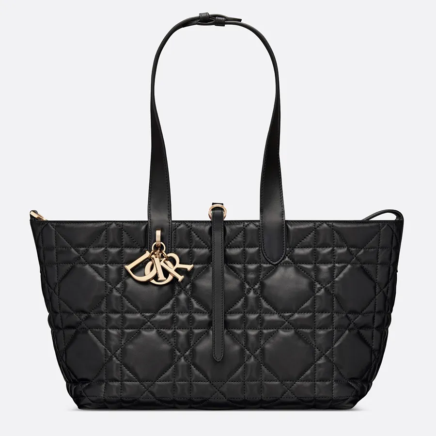 Dior Medium Toujours Bag_thumbnail_5