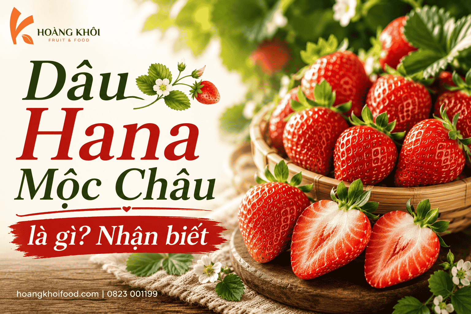 Dâu Hana Mộc Châu là gì? Nhận biết