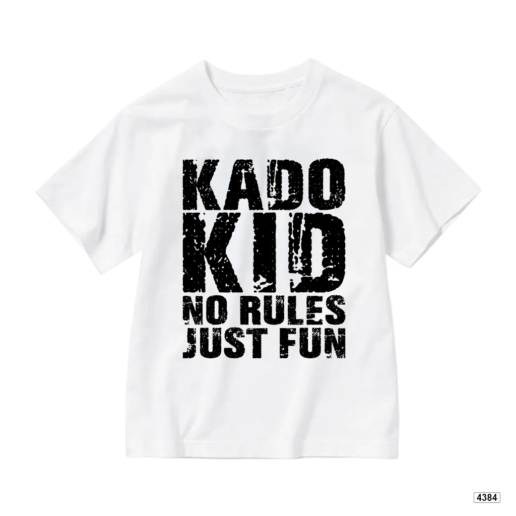 Áo thun bé trai Hàn Quốc no rules cá tính Kado 4386_thumbnail_7