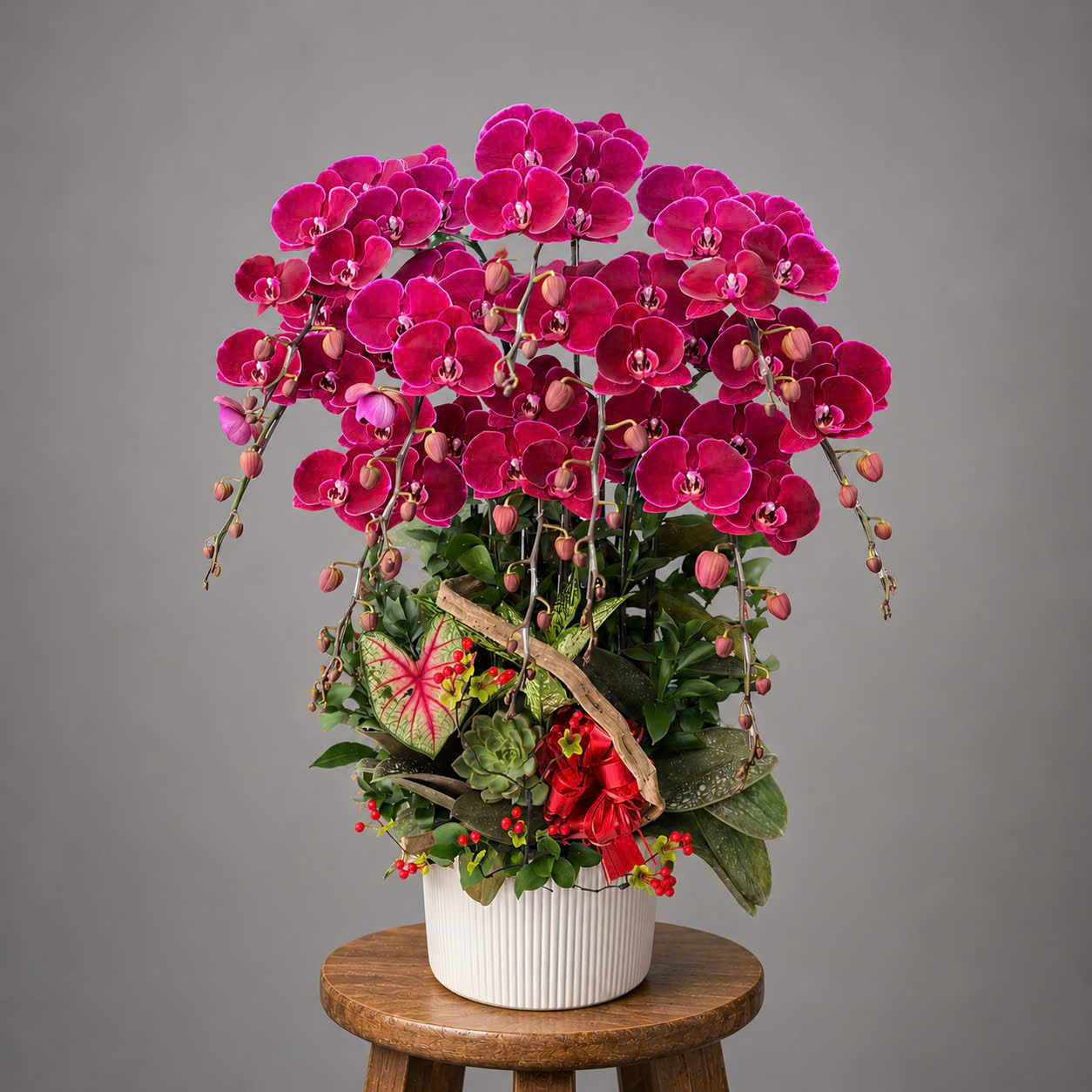 🌸Chậu Lan Hồ Điệp Đỏ Cherry 9 Cành – Tuyệt Tác Sắc Đỏ Kiêu Sa, Biểu Tượng Thành Công Và Thịnh Vượng