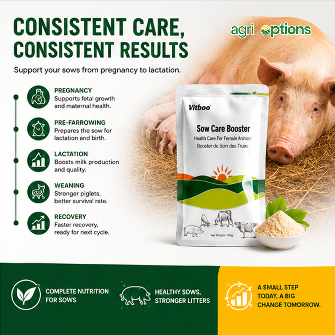 Vitboo Sow Care Booster_thumbnail_1