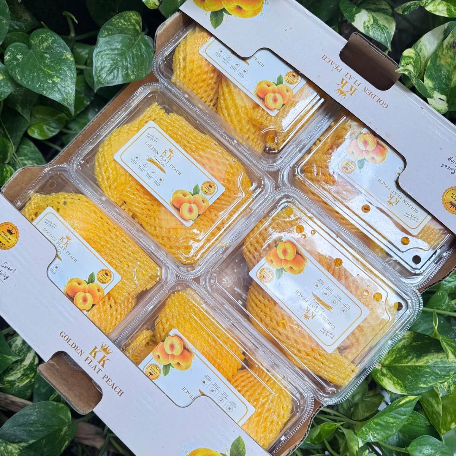 Đào Dẹt Bánh Rán_thumbnail_1