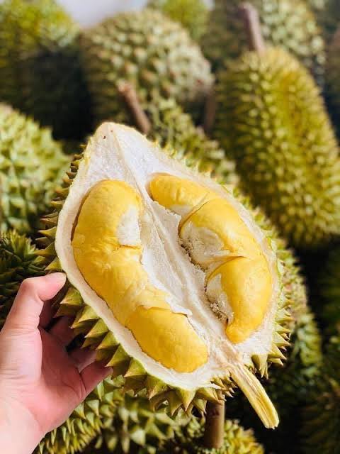 Sầu Riêng Chuồng Bò 1kg_thumbnail_3