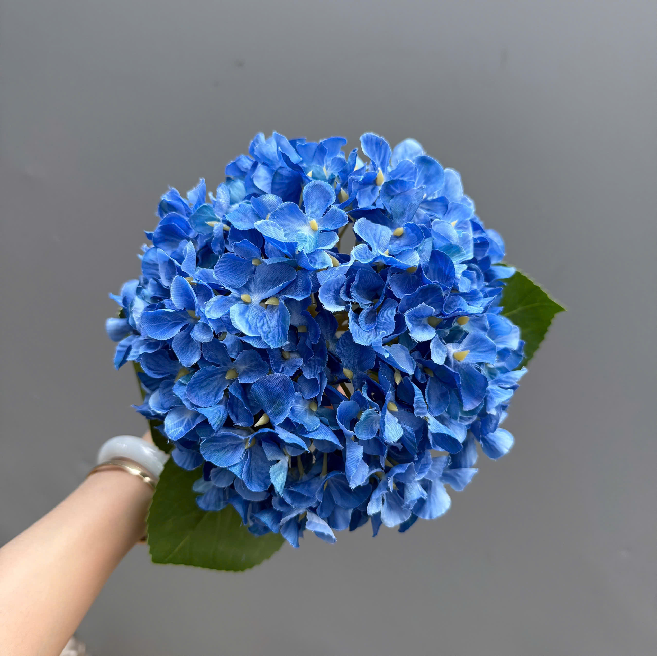 TÚ CẦU VIP 36K_thumbnail_9