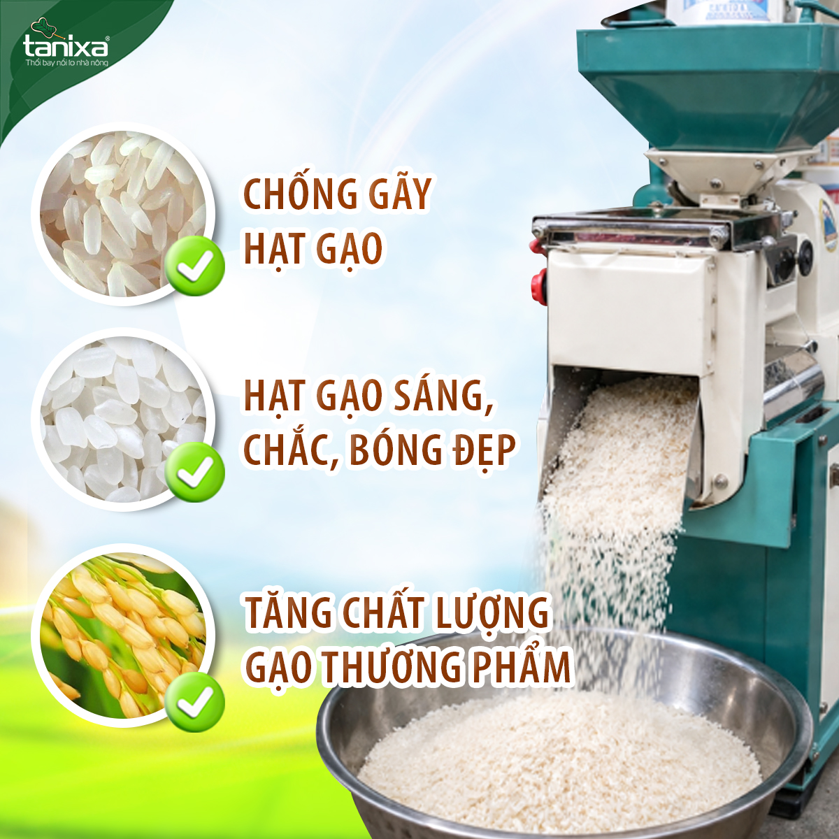Bộ vô gạo Tanixa_thumbnail_5