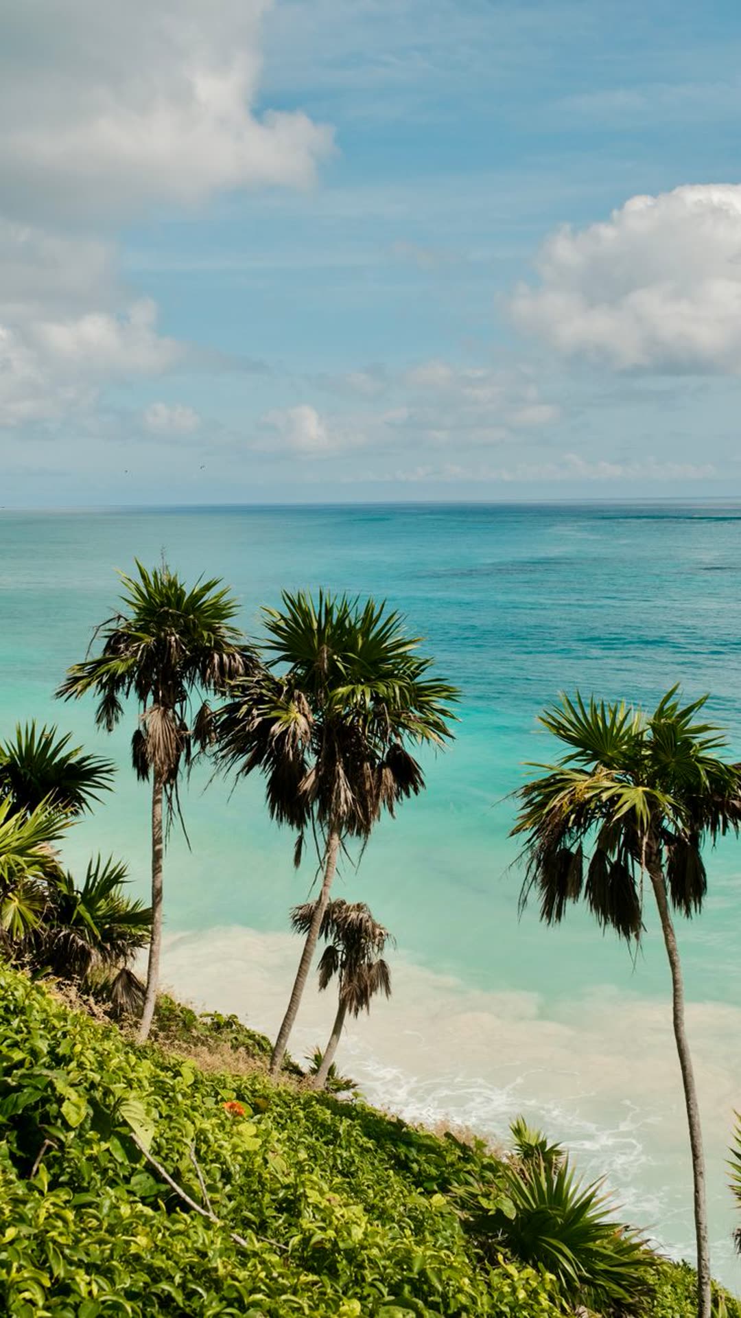 Palmeras sobre la playa de arena blanca en Tulum