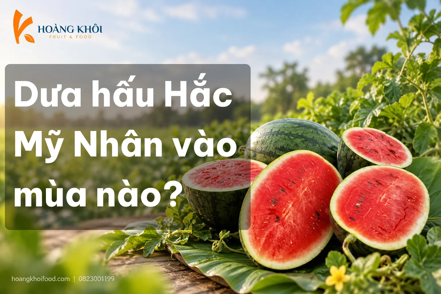 Dưa hấu Hắc Mỹ Nhân vào mùa nào?