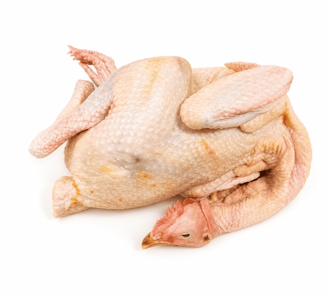 Fresh 9-month-old chicken (Size L)