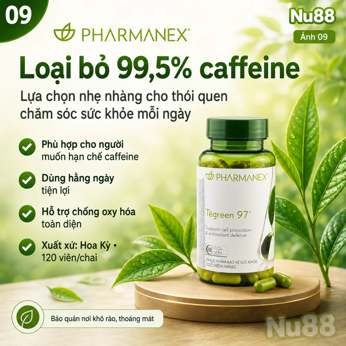 Thực phẩm bảo vệ sức khỏe Tegreen 97_thumbnail_20