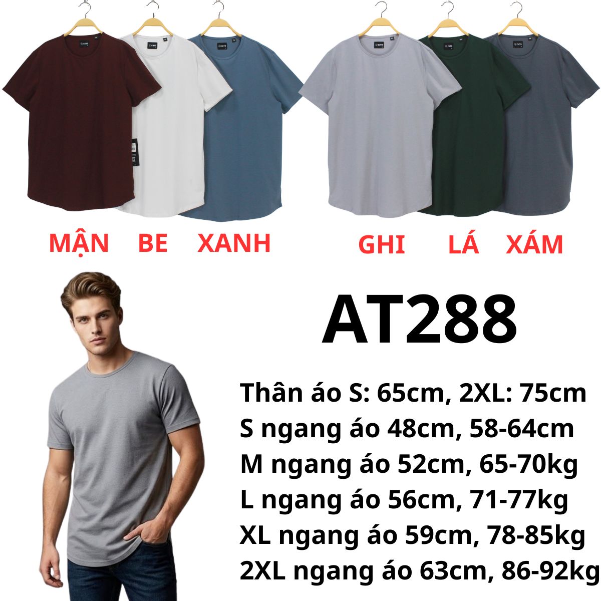 AT288- Áo thun nam