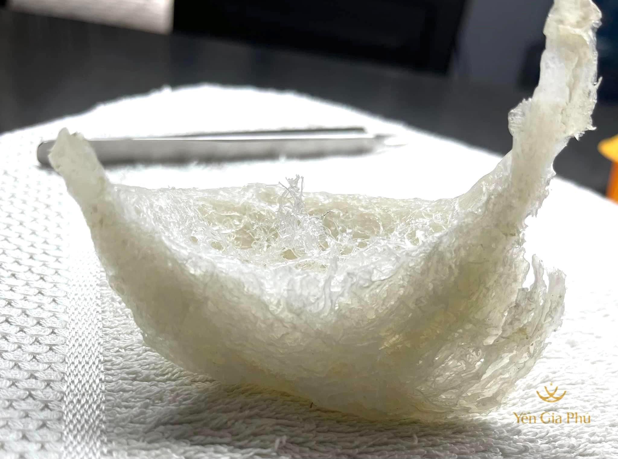 Thành Phần Dinh Dưỡng Của Tổ Yến: Vì Sao Yến Sào Giàu Đạm Và Acid Amin