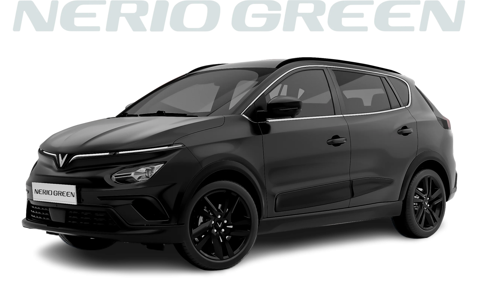 NerioGreen-1536x906