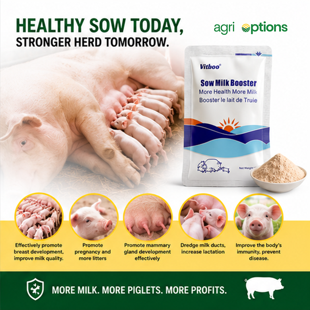 Vitboo Sow Milk Booster_thumbnail_8