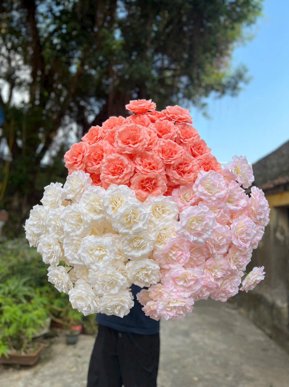 HỒNG XOĂN CÀNH NGẮN 10K_thumbnail_3