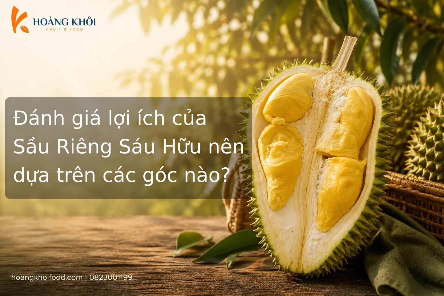 Đánh giá lợi ích của Sầu Riêng Sáu Hữu nên dựa trên các góc nào?