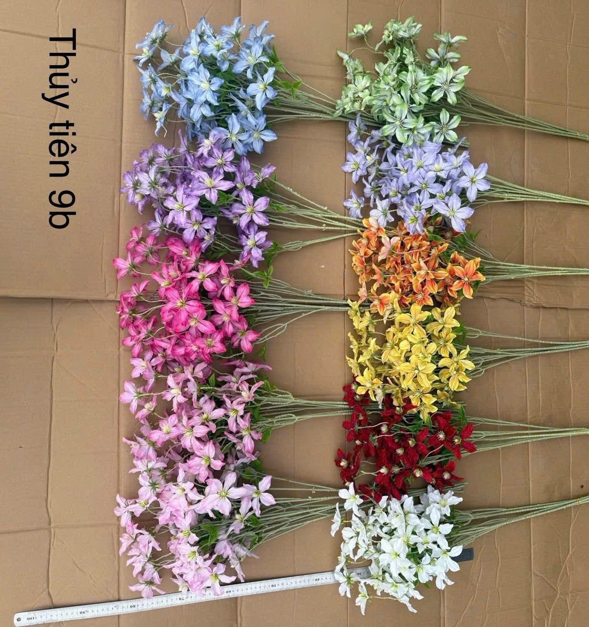 THUỶ TIÊN CHÙM 20K