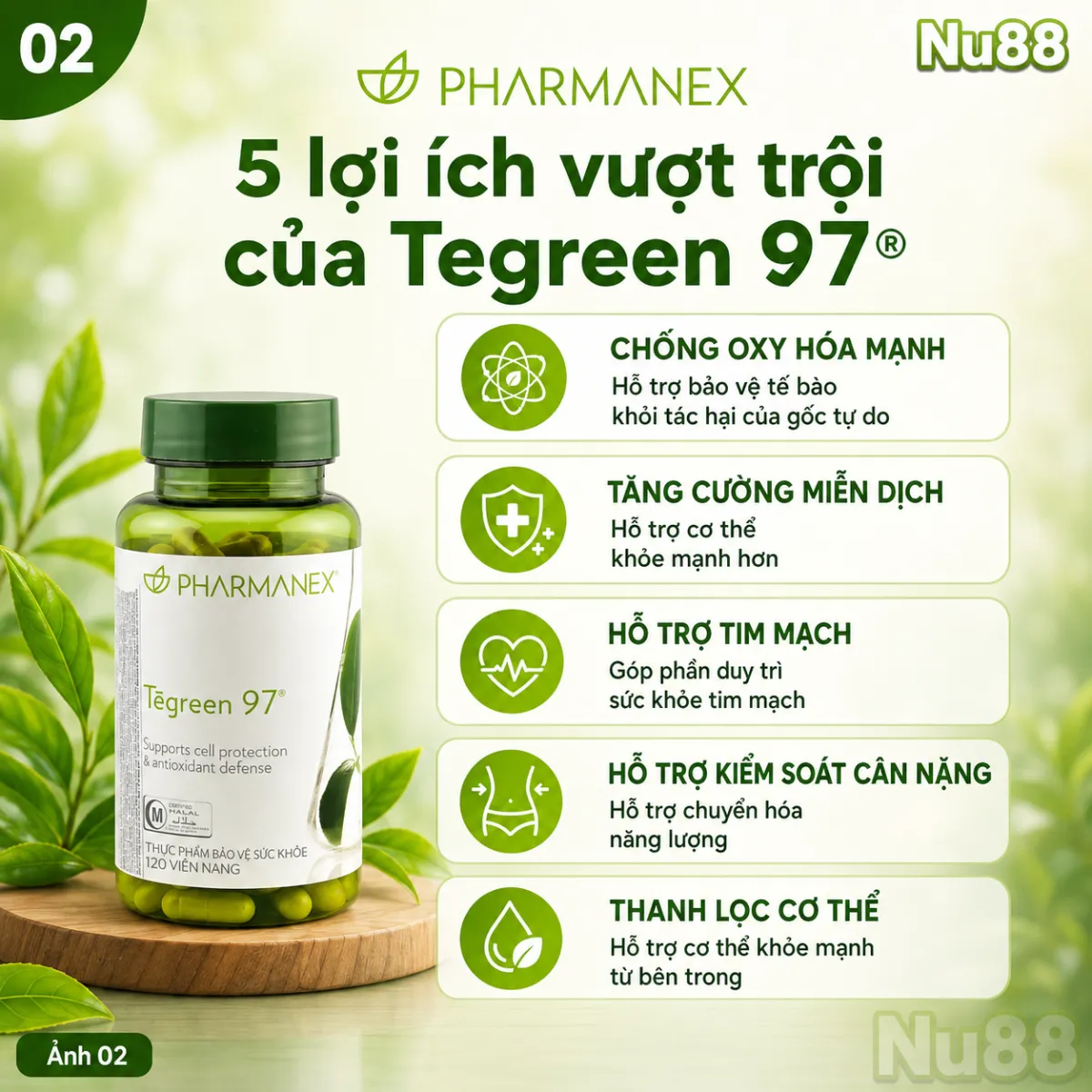 Thực phẩm bảo vệ sức khỏe Tegreen 97_thumbnail_19