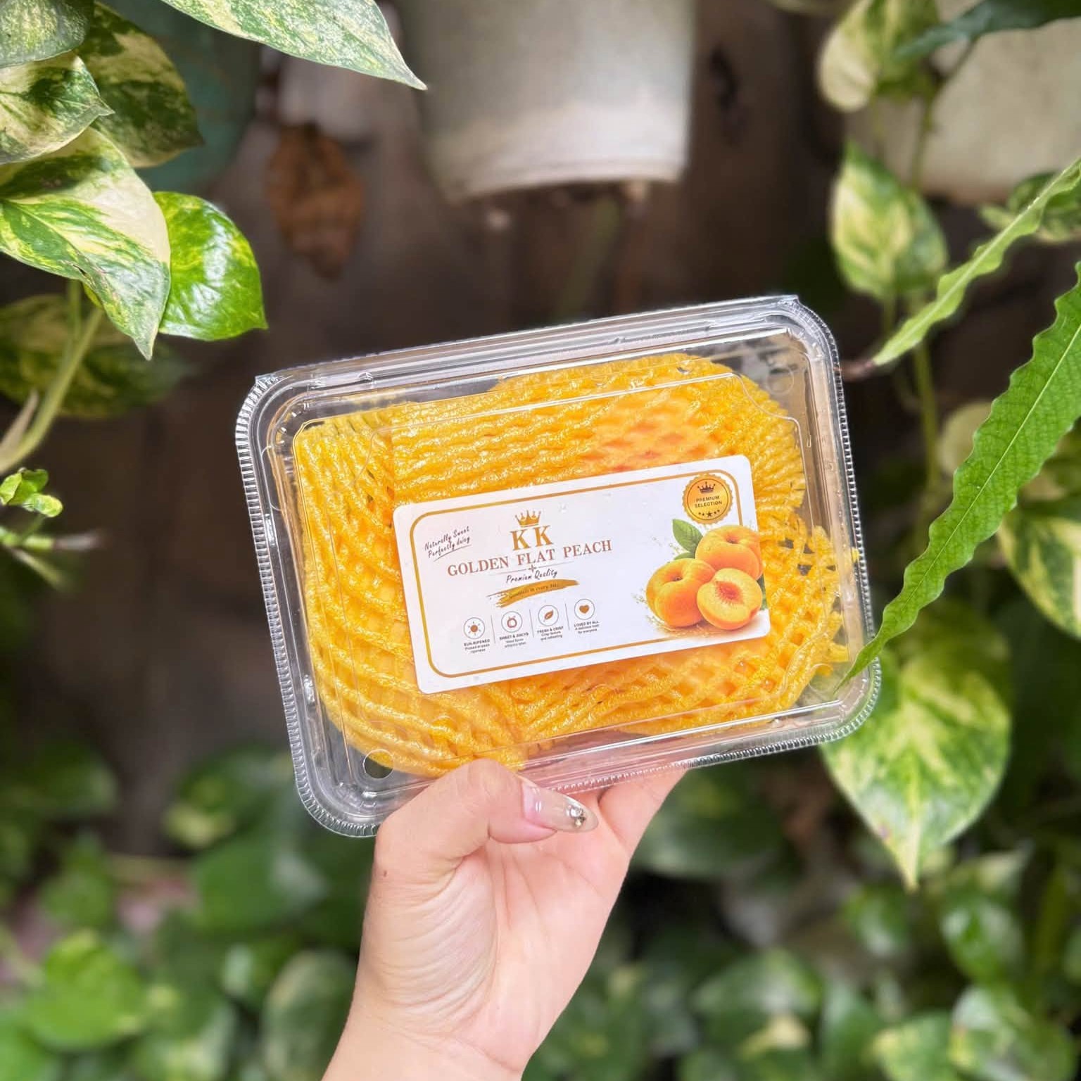 Đào Dẹt Bánh Rán
