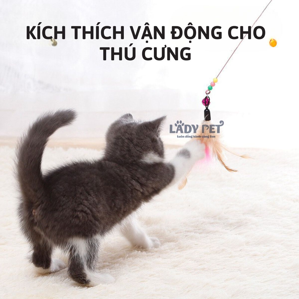 Đồ chơi cần câu mèo_thumbnail_4