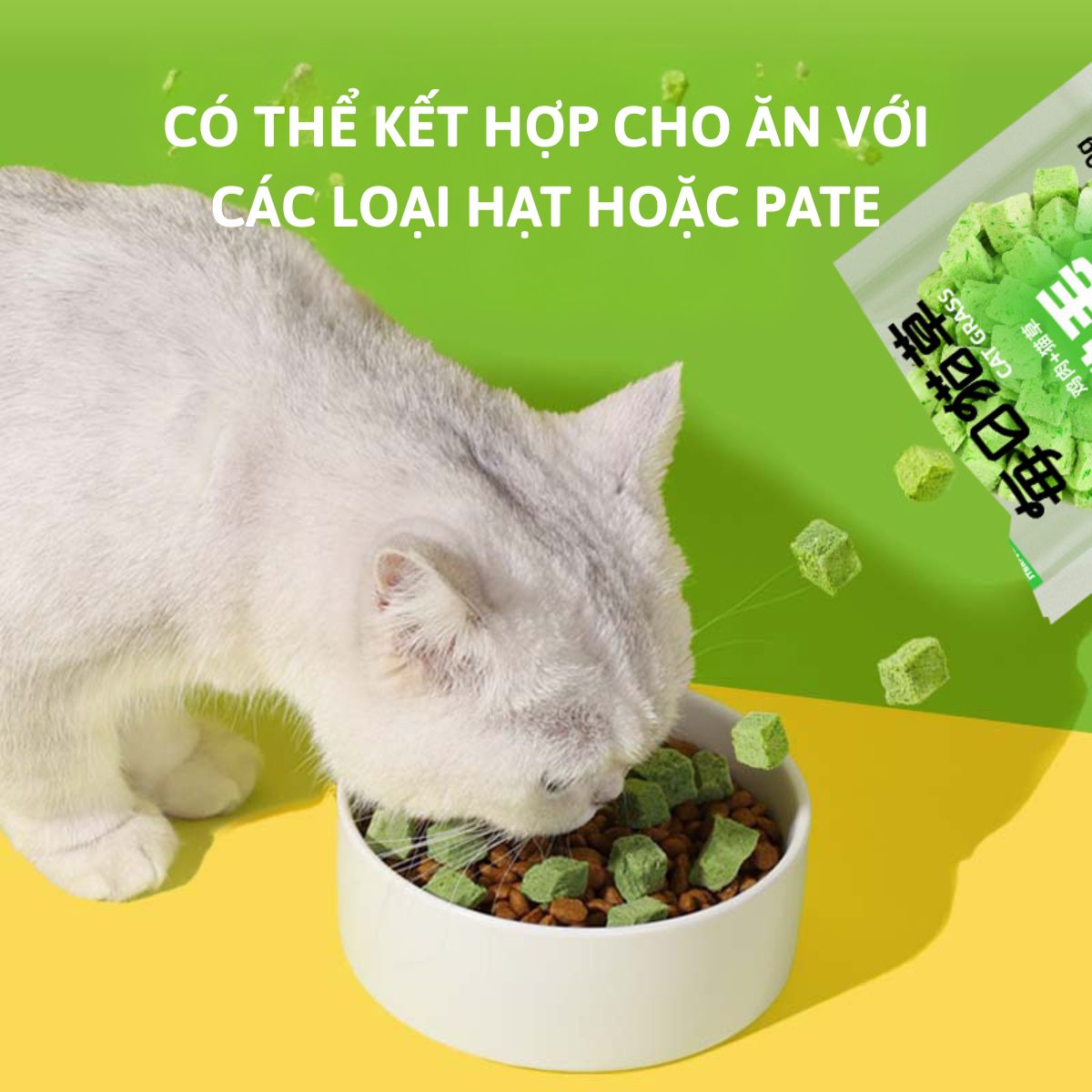 Viên Cỏ Mèo Hỗ Trợ Tiêu Búi Lông Ở Mèo_thumbnail_5