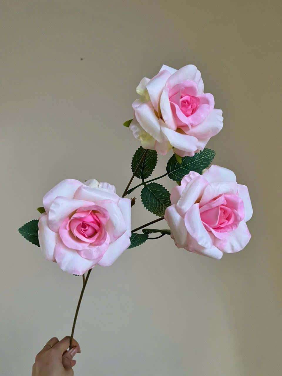 CÀNH HỒNG NỞ 3B 11K_thumbnail_7
