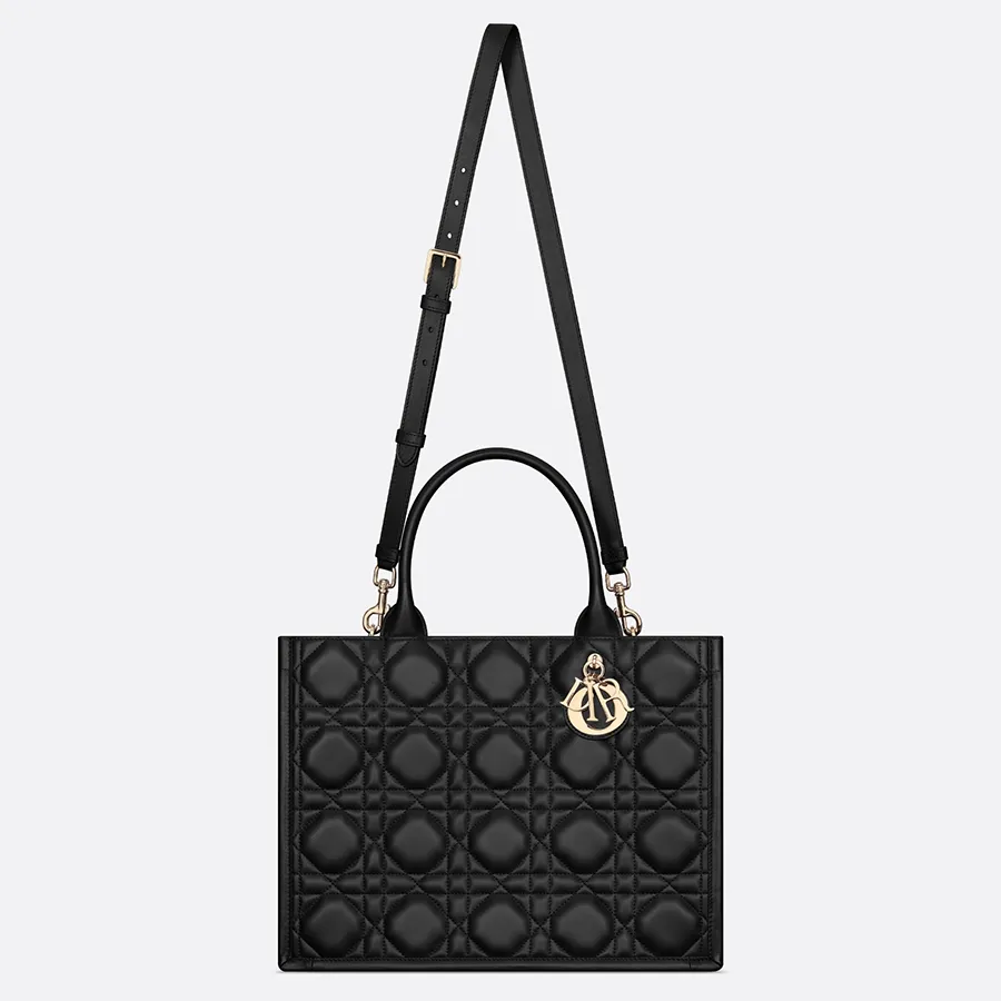 Dior Medium Book Tote_thumbnail_4