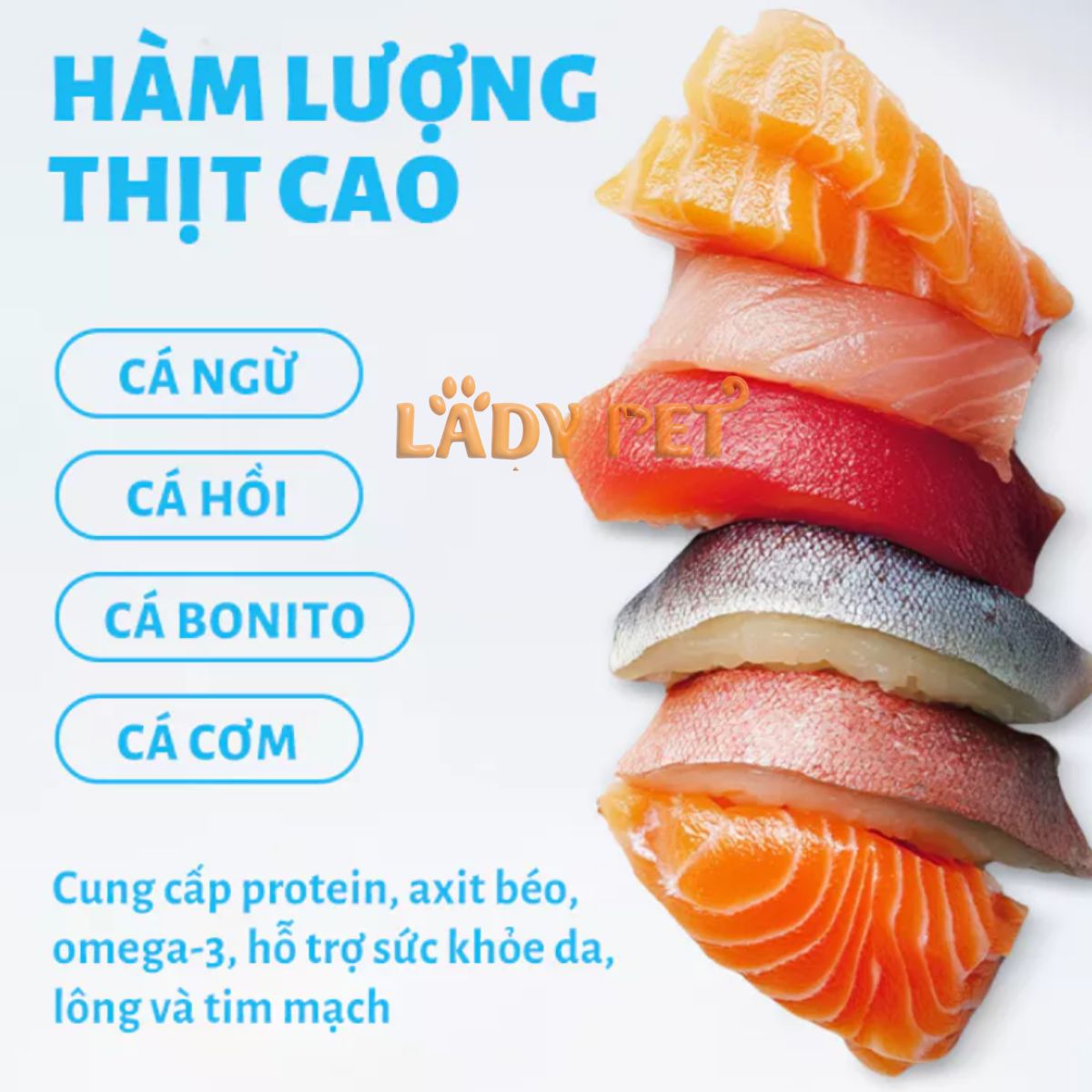 Hạt cho mèo MR VET T3 cho mèo (1KG)_thumbnail_4
