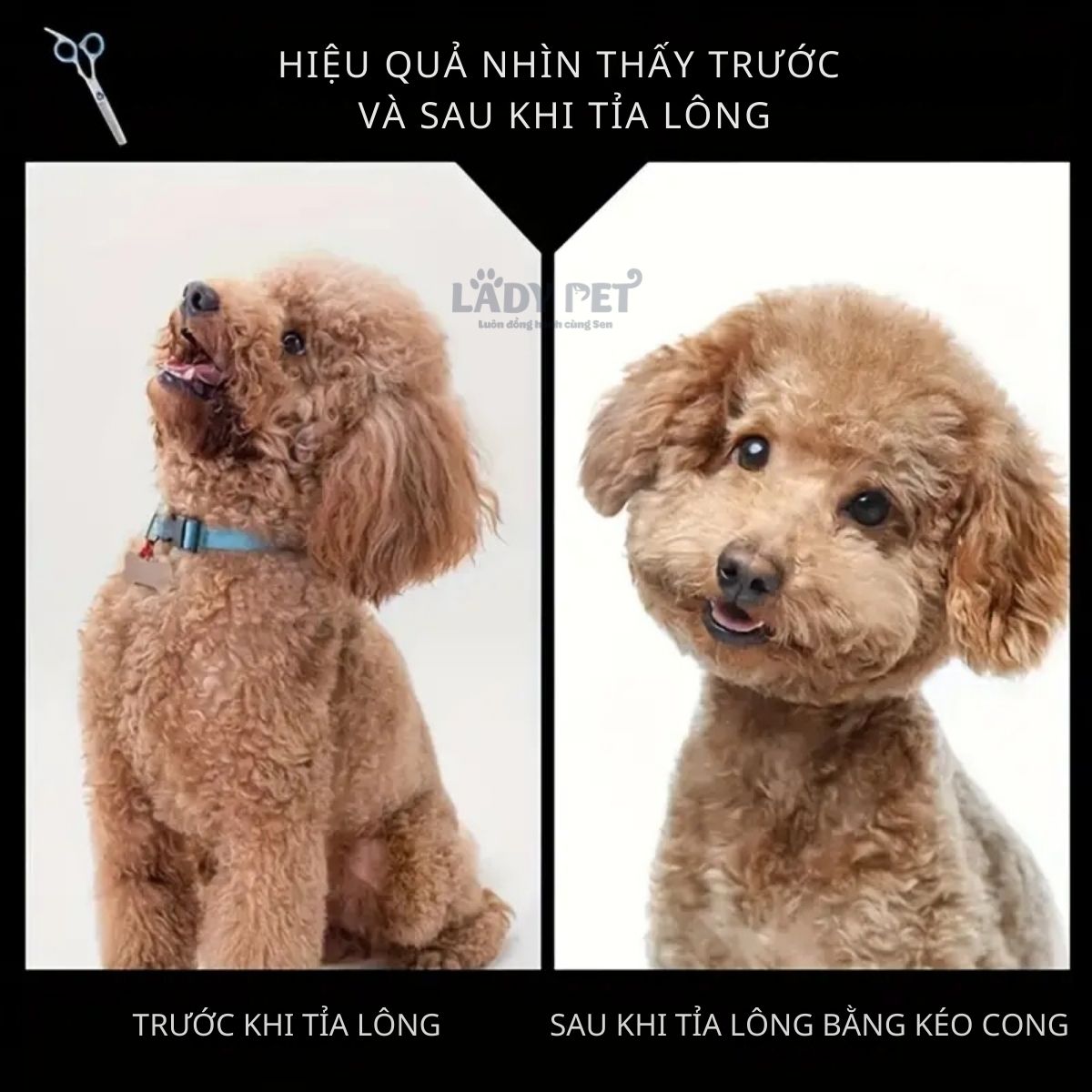 Kéo cong cắt lông thú cưng_thumbnail_1